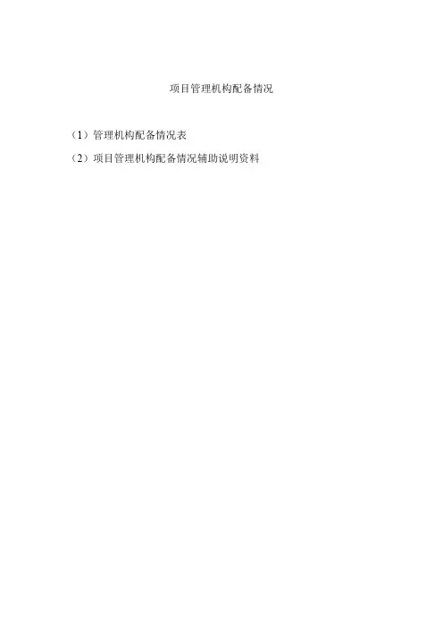 (完整word版)项目管理机构配备情况