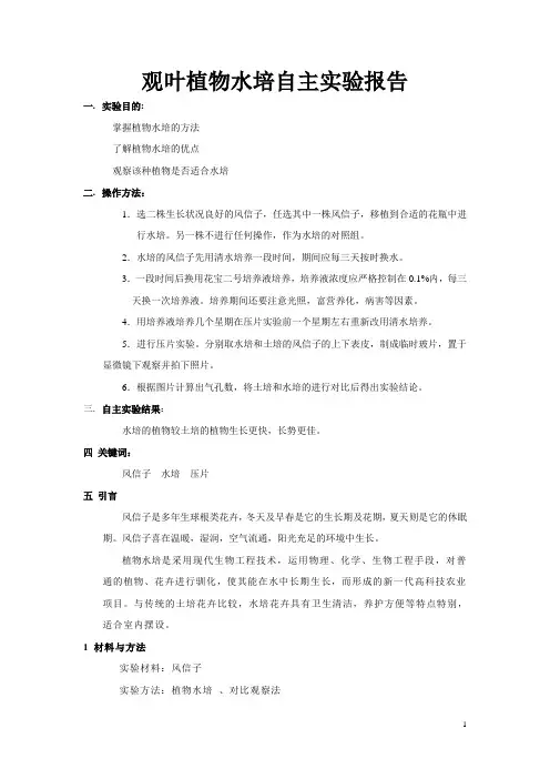 观叶植物水培自主实验报告