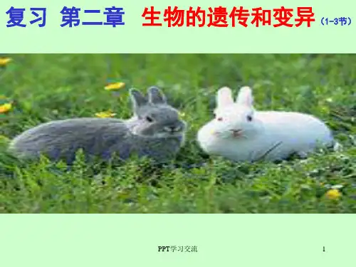 初中生物生物的遗传和变异复习课课件