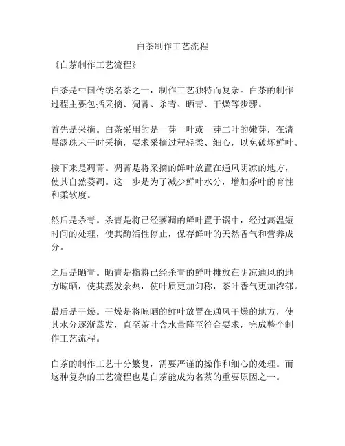 白茶制作工艺流程