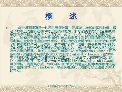 非小细胞肺癌靶向治疗进展课件