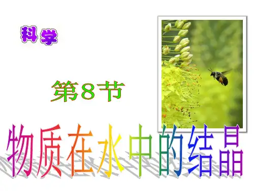 第8节物质在水中的结晶(浙江省温州市瑞安市)PPT课件(初中科学)