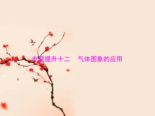 2021届高考物理一轮复习-专题提升十二 气体图象的应用 (共26张PPT)