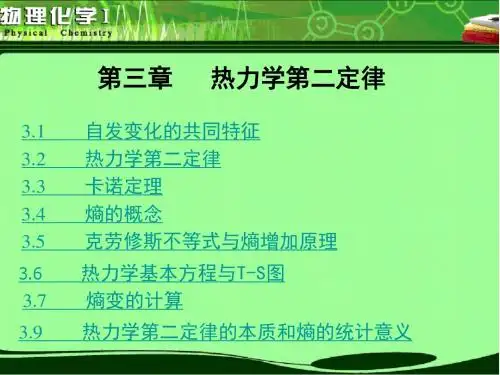 物理化学  第3章  热力学第二定律 2