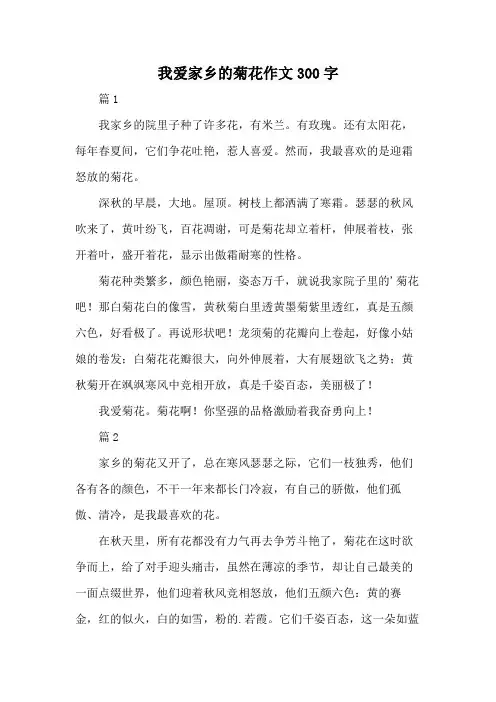 我爱家乡的菊花作文300字
