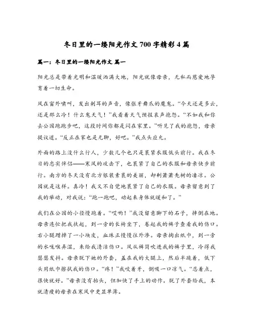 冬日里的一缕阳光作文700字精彩4篇