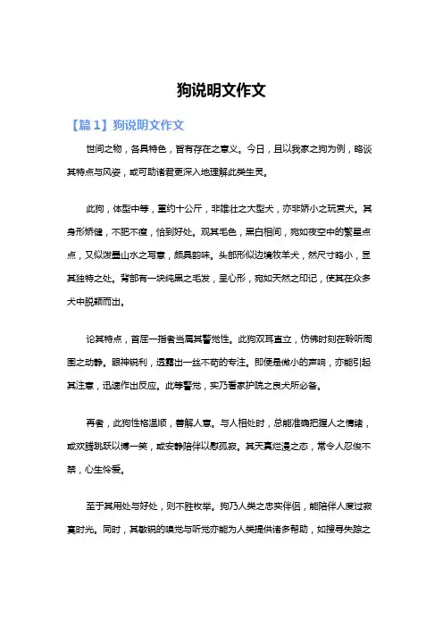 狗说明文作文