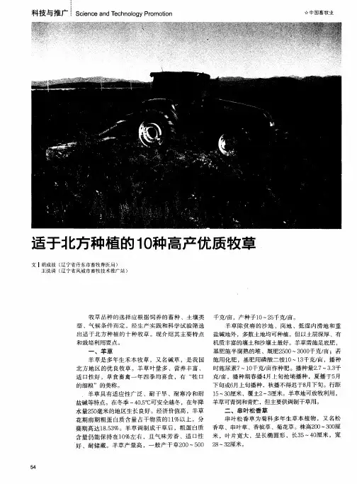 适于北方种植的1O种高产优质牧草