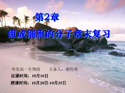 人教版生物必修一第二章组成细胞的分子复习课件(共21张PPT)
