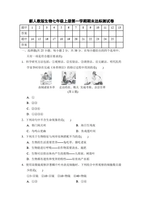 第一学期期末达标测试卷 2024-2025学年新人教版生物七年级上册