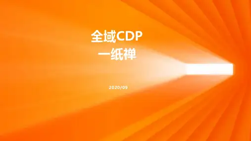 全域CDP-一纸禅