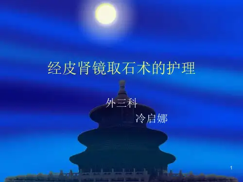 经皮肾镜取石术PPT课件
