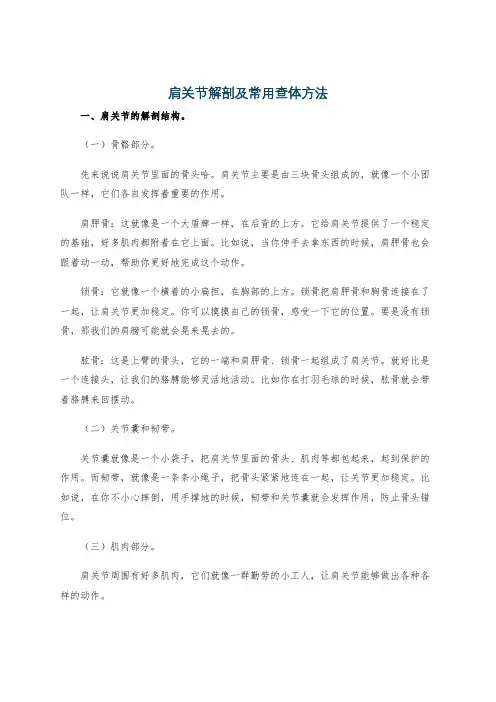 肩关节解剖及常用查体方法