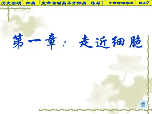 人教版教学课件生物必修一走近细胞全章课件(25张PPT)