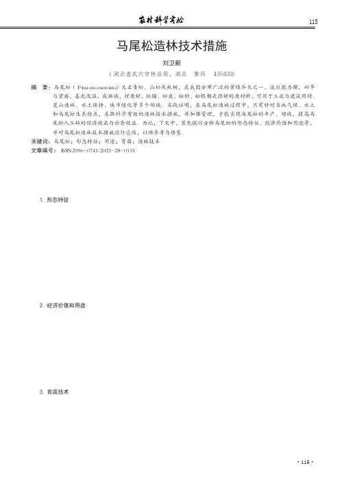 马尾松造林技术措施