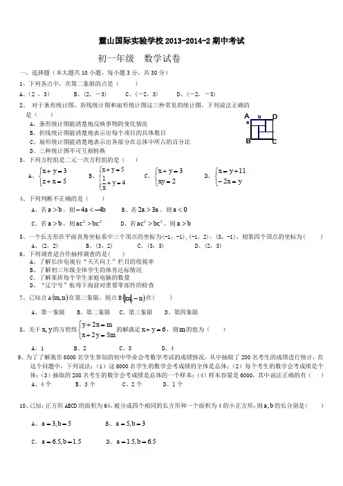 2019年长沙市麓山国际实验学校年七年级下期中考试数学试卷