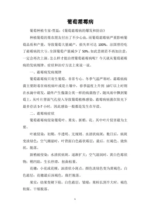 葡萄霜霉病