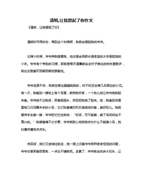 清明,让我想起了你作文