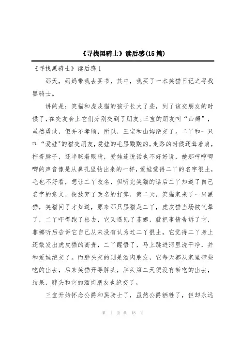 《寻找黑骑士》读后感(15篇)