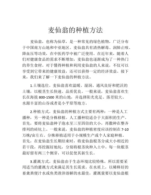麦仙翁的种植方法