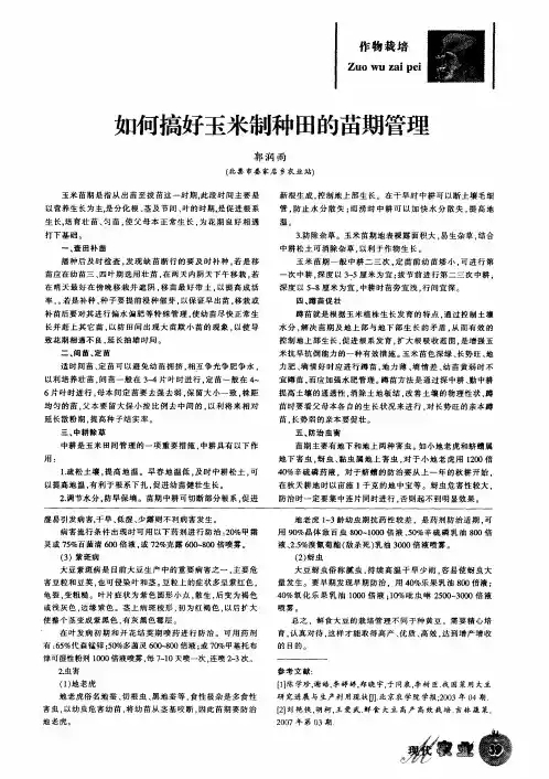 如何搞好玉米制种田的苗期管理