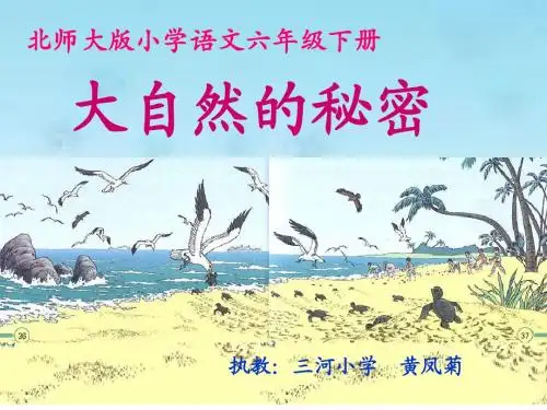 《大自然的秘密》01