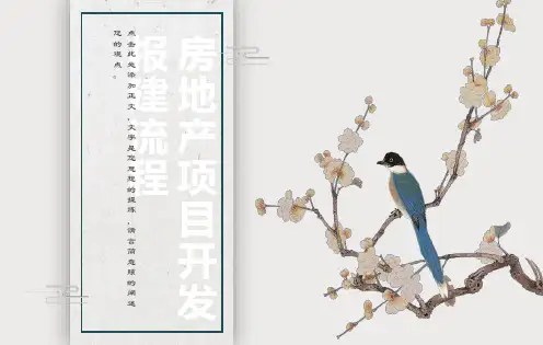 房地产项目开发报建流程全过程详解培训