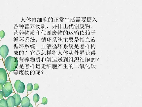 (新)苏教版生物七下《人体内的血液循环》公开课(课件) 6