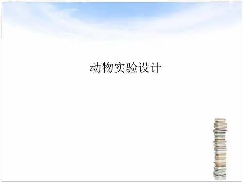动物实验设计