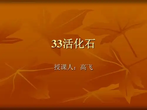 人教版新课标二上《活化石》PPT课件1