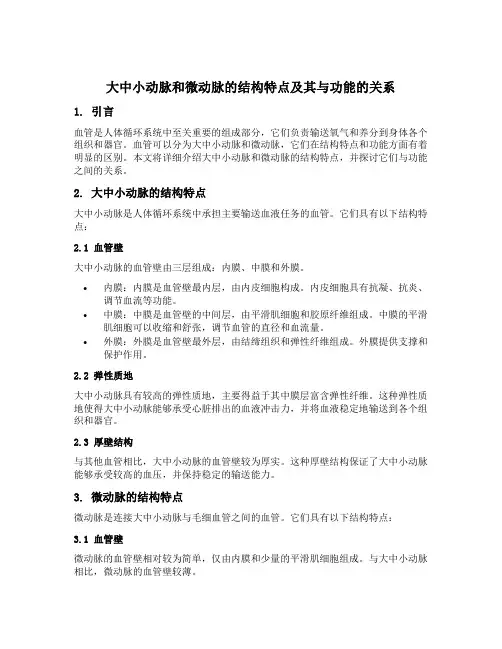 简述大中小动脉和微动脉的结构特点及其与功能的关系