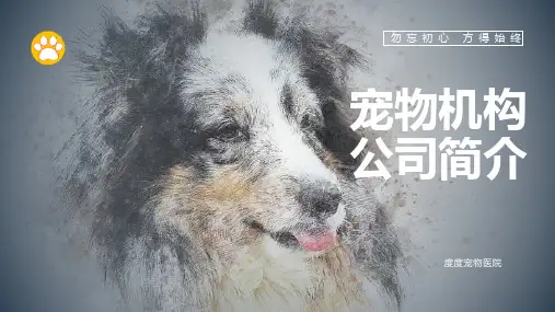 宠物行业通用模板ppt