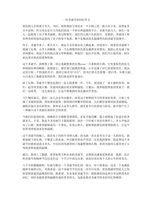 一次圣诞节的回忆作文