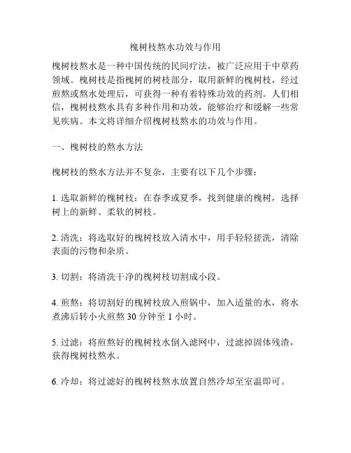槐树枝熬水功效与作用