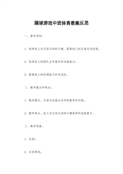 踢球游戏中班体育教案反思