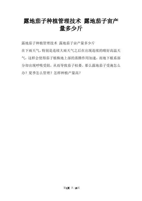 露地茄子种植管理技术 露地茄子亩产量多少斤