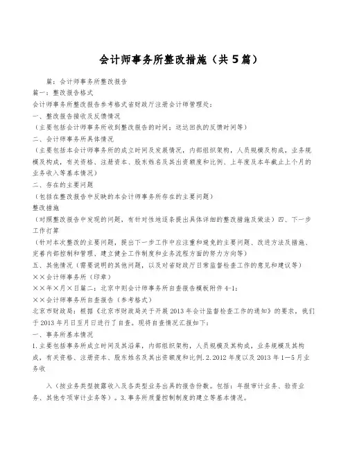会计师事务所整改措施(共5篇)