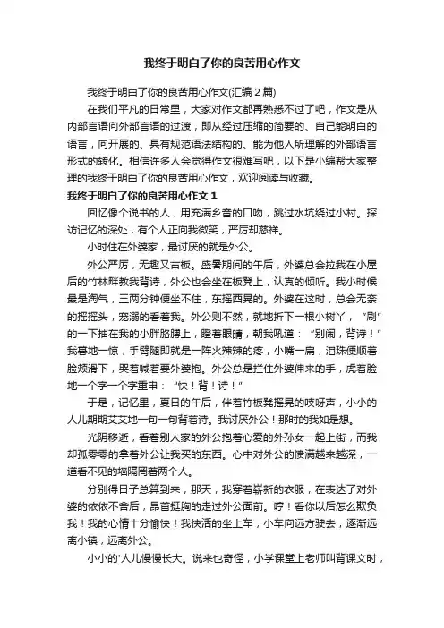 我终于明白了你的良苦用心作文