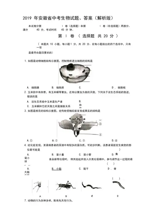2019年安徽省中考生物试题、答案(解析版)