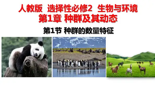 1.1种群的数量特征课件高二上学期生物人教版(2019)选择性必修2