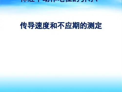 动作电位的引导、传导速度和不应期