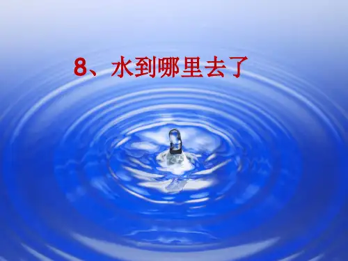 四年级下册科学课件8水到哪里去了 冀教版 (共12页)PPT