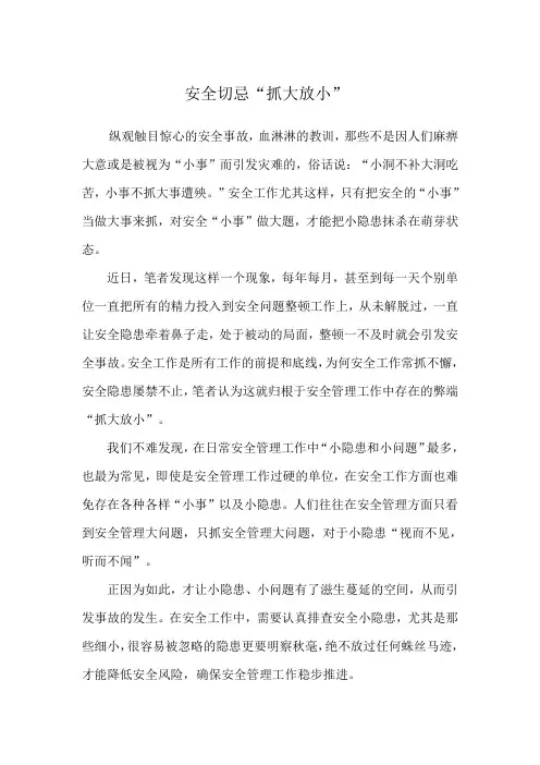 安全切忌抓大放小