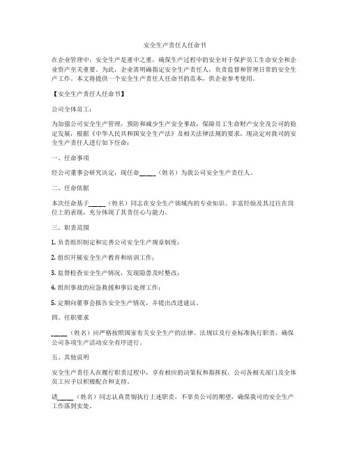 安全生产责任人任命书