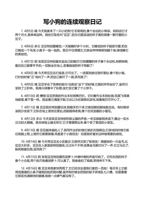 写小狗的连续观察日记