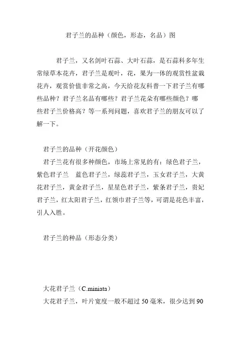 君子兰的品种(颜色形态名品)图