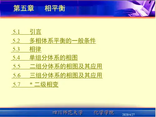 物理化学相平衡(课堂PPT)