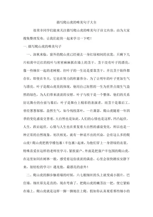 描写爬山虎的唯美句子