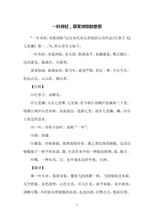 一叶舟轻,双桨鸿惊的意思