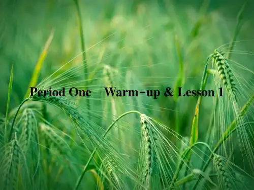 Unit 13 Period 1 warm up EQIQ课件 北师大版必修5课件